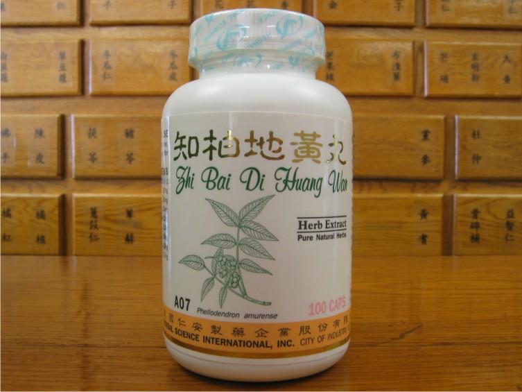 (image for) Zhi Bai Di Huang Wan